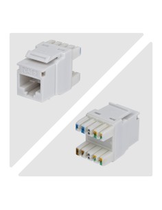 StarTech.com Connettore Keystone RJ45 Cat6 UTP, Confezione da 24 Prese Ethernet per Scatola a Muro, Terminazione 110 Punch Down 2