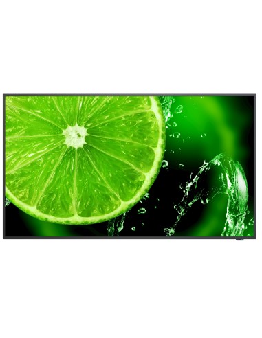 NEC MultiSync E498 124,5 cm (49") IPS 350 cd m² 4K Ultra HD Nero 16 7
