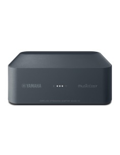 Yamaha WXAD-10 Collegamento ethernet LAN Wi-Fi Grigio