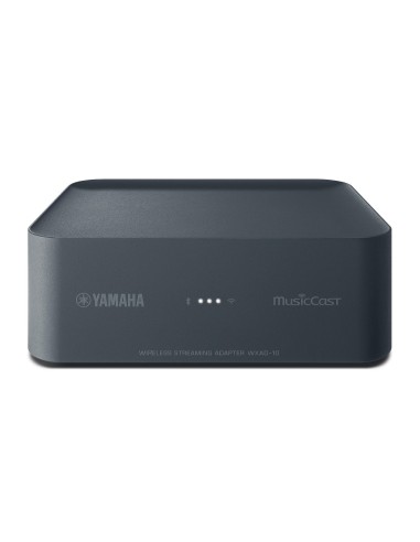 Yamaha WXAD-10 Collegamento ethernet LAN Wi-Fi Grigio