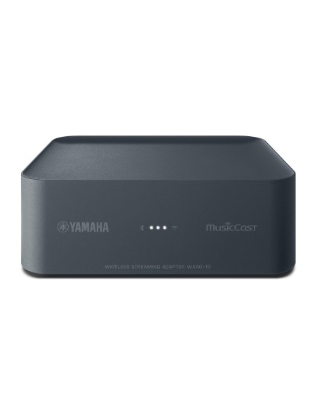 Yamaha WXAD-10 Collegamento ethernet LAN Wi-Fi Grigio