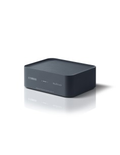 Yamaha WXAD-10 Collegamento ethernet LAN Wi-Fi Grigio 2