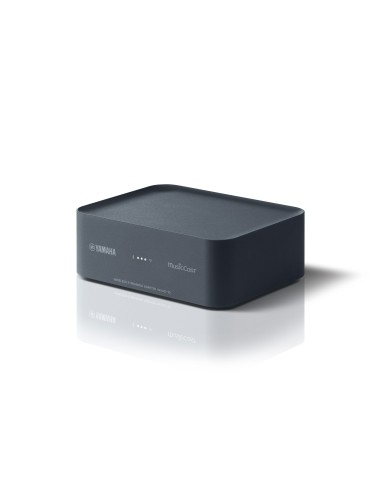 Yamaha WXAD-10 Collegamento ethernet LAN Wi-Fi Grigio