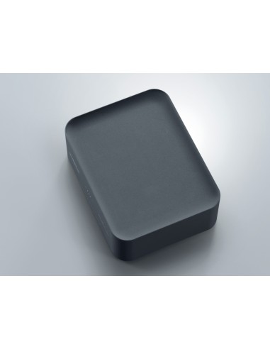 Yamaha WXAD-10 Collegamento ethernet LAN Wi-Fi Grigio