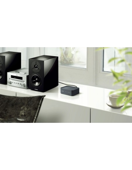 Yamaha WXAD-10 Collegamento ethernet LAN Wi-Fi Grigio
