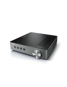 Yamaha WXA-50 Collegamento ethernet LAN Wi-Fi Grigio