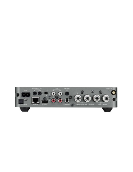 Yamaha WXA-50 Collegamento ethernet LAN Wi-Fi Grigio