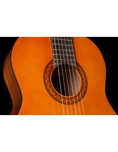 Yamaha CX40II Chitarra acustico-elettrica Classico 6 corde Legno 2