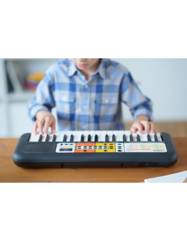 Yamaha PSS-F30 sintetizzatore Sintetizzatore digitale 37 Nero