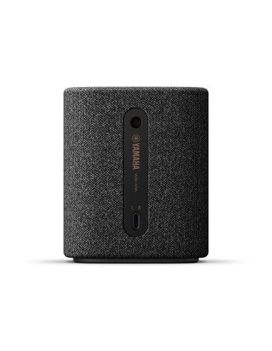 Yamaha WS-X1A Carbonio, Grigio 10 W