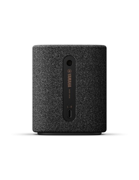 Yamaha WS-X1A Carbonio, Grigio 10 W