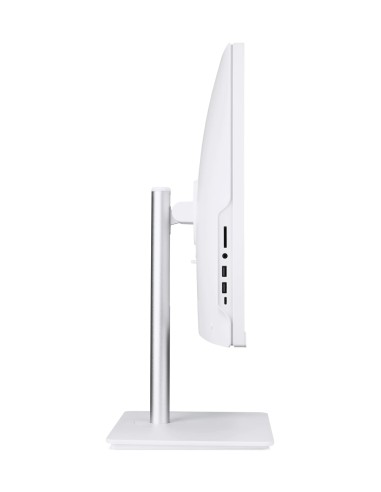 Acer Computer Tutto in uno Veriton VZ2417G