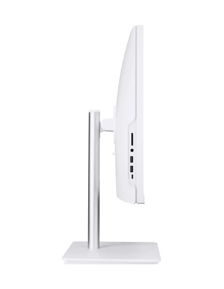 Acer Computer Tutto in uno Veriton VZ2417G