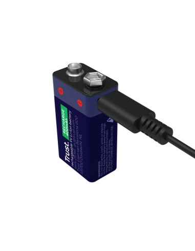 Trust 25745 batteria per uso domestico Batteria ricaricabile Ioni di Litio