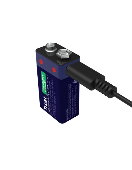 Trust 25745 batteria per uso domestico Batteria ricaricabile Ioni di Litio