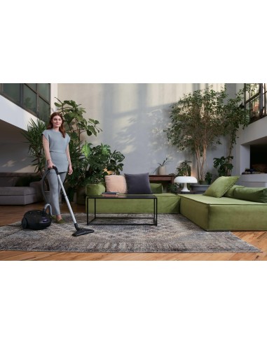 Hoover 39002342 aspirapolvere a traino 2,5 L A cilindro Secco 700 W Sacchetto per la polvere