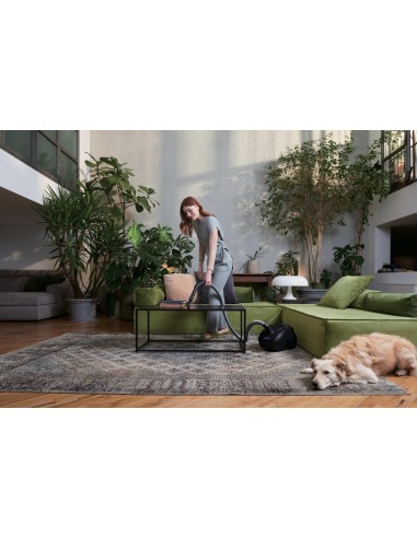 Hoover 39002342 aspirapolvere a traino 2,5 L A cilindro Secco 700 W Sacchetto per la polvere