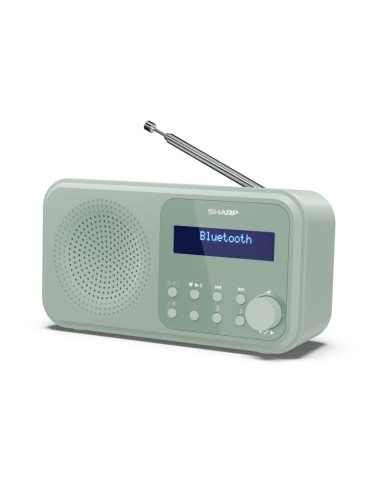 Sharp DR-P420 Portatile Digitale Verde