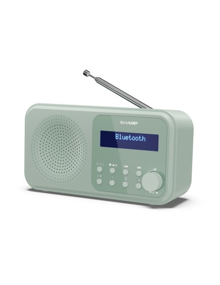 Sharp DR-P420 Portatile Digitale Verde