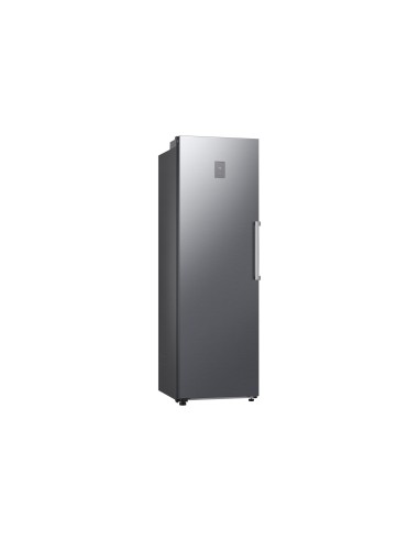 Samsung RZ70H32HDTEF congelatore Congelatore verticale Libera installazione 323 L Argento