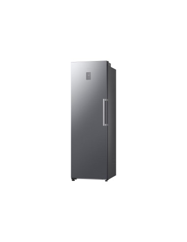 Samsung RZ70H32HDTEF congelatore Congelatore verticale Libera installazione 323 L Argento