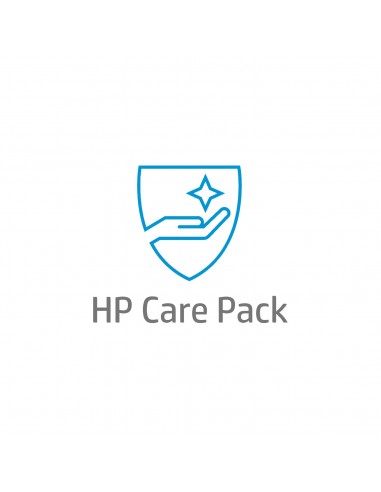 HP HP 3Y 4H 13X5 DSNJT T790-24INCH CARE PACK HP598E  ESTENSIONE GARANZIE