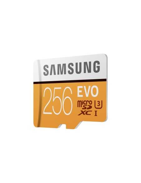 Samsung EVO microSD Memory Card 256 GB