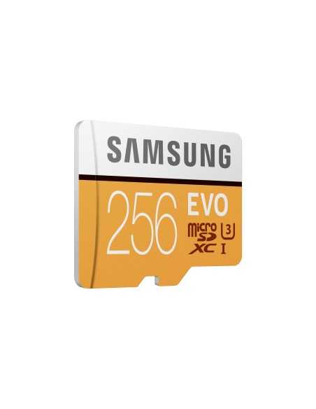 Samsung EVO microSD Memory Card 256 GB