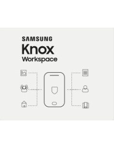 Samsung KNOX Workspace, 2 Y 2 anno i