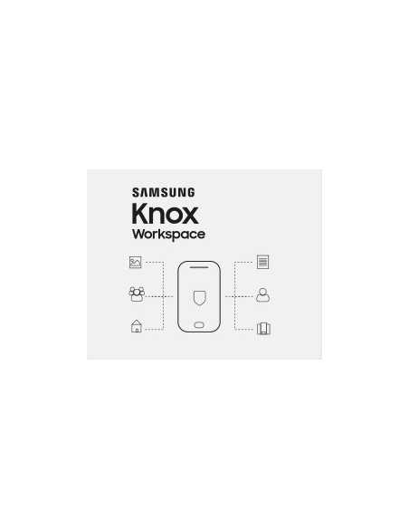 Samsung KNOX Workspace, 2 Y 2 anno i