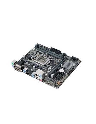 ASUS PRIME B250M-K Intel® B250 LGA 1151 (Presa H4) micro ATX