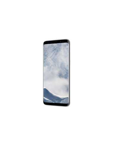 Samsung Galaxy S8 Plus Argento