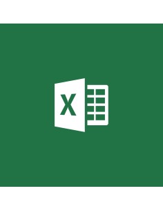 Microsoft Excel Governativa (GOV)