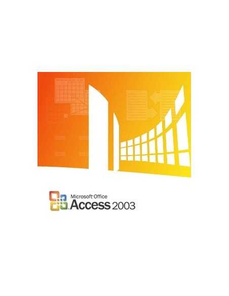 Microsoft Access 2003, x32, GOV, SA, 1u, OLP-NL 1 licenza e Governativa (GOV)