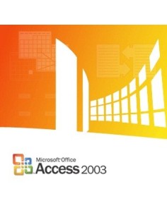 Microsoft Access 2003, x32, GOV, SA, 1u, OLP-NL 1 licenza e Governativa (GOV)