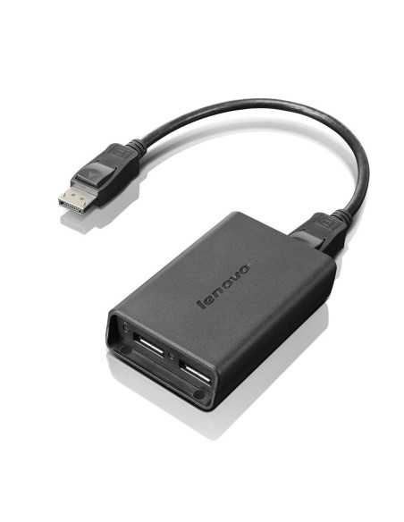 Lenovo DisplayPort to Dual-DisplayPort Monitor Cable cavo USB USB A Nero