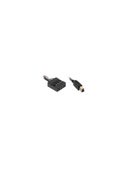 Overland-Tandberg 0.81m, 2x10pin USB3.0-B cavo USB 0,81 m USB 3.2 Gen 1 (3.1 Gen 1) USB B Nero