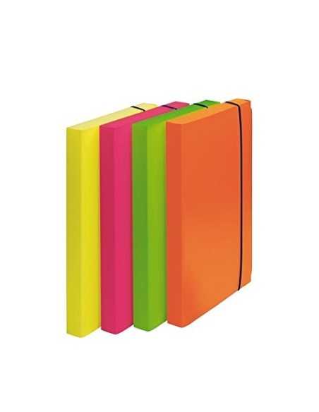 Fellowes 1028101 cartella Polipropilene (PP) Multicolore A4