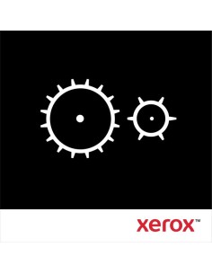 Xerox Stampante Phaser 7800, FILTRO DI ASPIRAZIONE