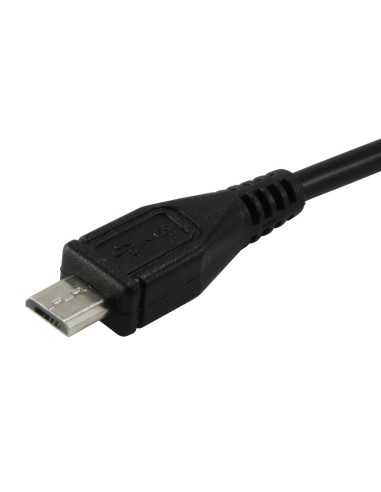 Conceptronic CUSBCARMICU2A Caricabatterie per dispositivi mobili Nero, Bianco Auto