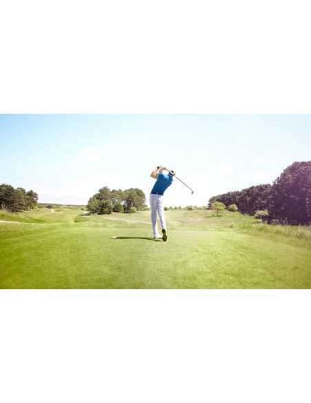 TomTom Golfer