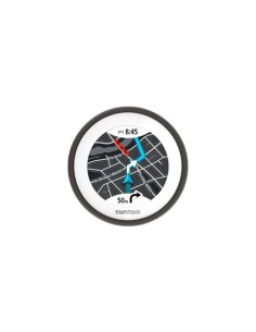 TomTom VIO