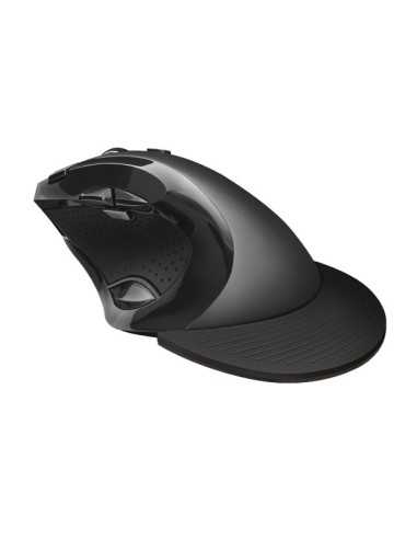 Trust 21722 mouse Mano destra RF Wireless 2400 DPI