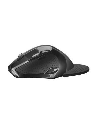 Trust 21722 mouse Mano destra RF Wireless 2400 DPI