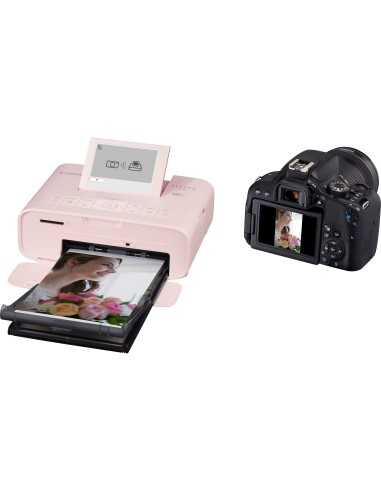 Canon SELPHY CP1300 - Rosa