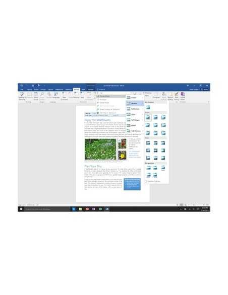 Microsoft Office Professional 2016 1 licenza e Multilingua