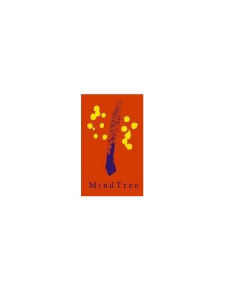 Iomega MindTree SecureMind