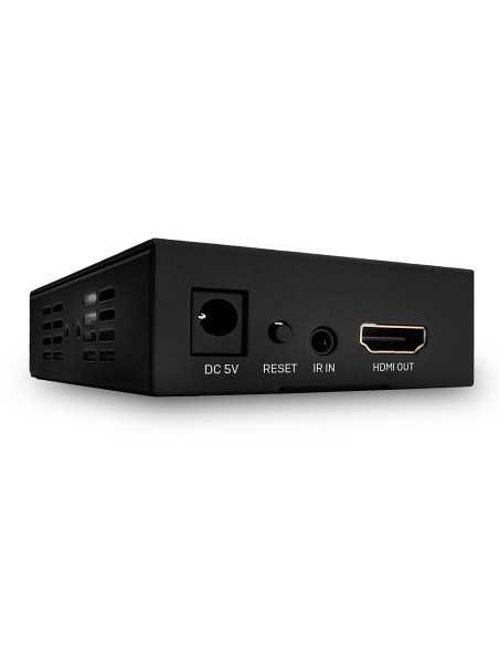 Lindy 38129 moltiplicatore AV Ricevitore AV Nero