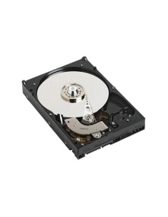 DELL 400-AHHI disco rigido interno 3.5" 6000 GB Serial ATA III