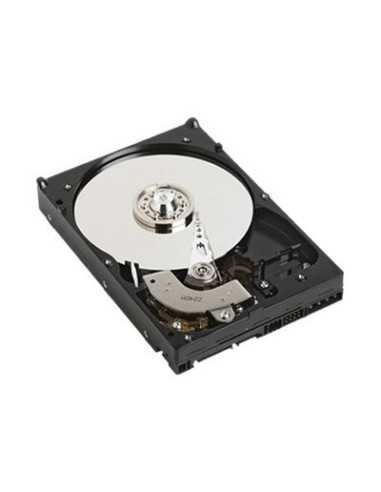 DELL 1TB 7.2K NEARLINE 1000 GB SAS